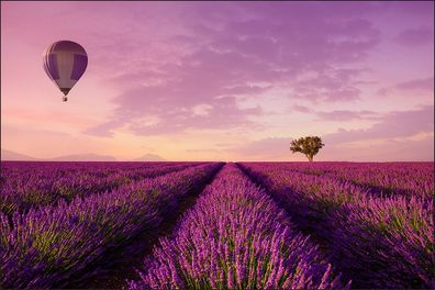Muralo VINYL Fototapete XXL TAPETE Lavendelfeld Blumen Himmel Natur 3D 166