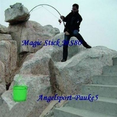 Magic Stick MS80 3,00m 45-80g / Bilder sprechen mehr als Worte