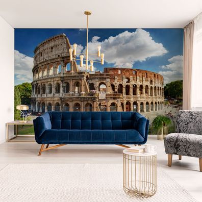 Muralo VINYL Fototapete XXL TAPETE Wohnzimmer Kolosseum Rom Italien 2722