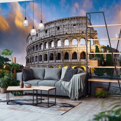 Muralo VINYL Fototapete XXL TAPETE Wohnzimmer Rom Kolosseum Italien 2728