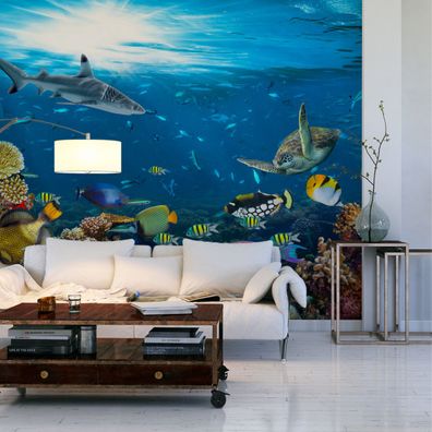 Muralo VINYL Fototapete XXL TAPETE Jugend Korallenriff OZEAN 2913