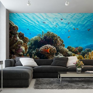 Muralo VINYL Fototapete XXL TAPETE Büro Korallenriff Fische 3D 2922