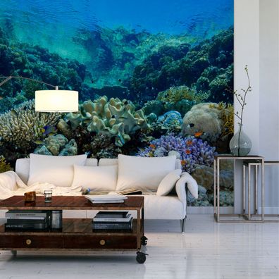Muralo VINYL Fototapete XXL TAPETE Schlafzimmer Korallenriff 3D 2923