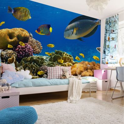 Muralo VINYL Fototapete XXL TAPETE Jugend Korallenriff Fische 2935