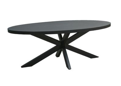 Esszimmertisch Küchentisch Tisch Kala Schwarz Spider Oval Mango Stahl 180 cm