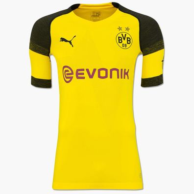 Puma BVB Borussia Dortmund Herren Heimtrikot Saison 18/19 Trikot BVB Shorts