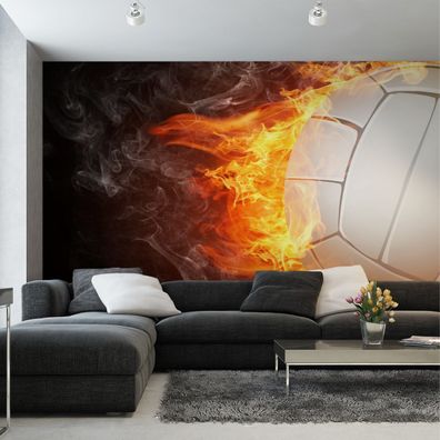 Muralo VINYL Fototapete XXL TAPETE Volleyball in Flammen 3D 3265