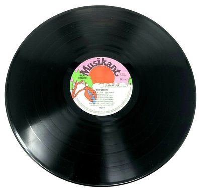 Vinyl LP Bots - Aufstehn aus dem Jahr 1980 (W11)