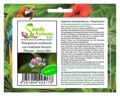 5x Pelargonium multicaule ssp multicaule Geranie Pflanzen - Samen B64
