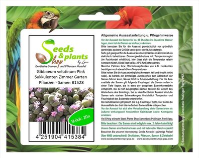 20x Gibbaeum velutinum Pink Sukkulenten Zimmer Garten Pflanzen - Samen B1528