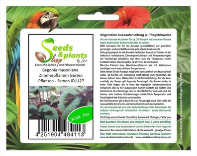10x Begonia masoniana Zimmerpflanzen Garten Pflanzen - Samen ID1127