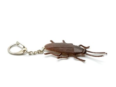 Kakerlake Schlüsselanhänger Miniblings Schlüsselring Schabe Küchenschabe