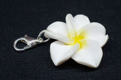 Frangipani Charm Anhänger Bettelarmband Miniblings Blume Blüte Plumeria weiß