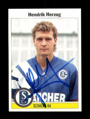 Hendrik Herzog FC Schalke 04 Panini Sammelbild 1995 Original Signiert+ A 220812