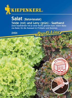 Kiepenkerl® Salat Bataviasalat Teide & Leny - Saatband - Gemüsesamen