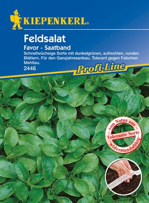 Kiepenkerl® Feldsalat Favor - Saatband - Gemüsesamen