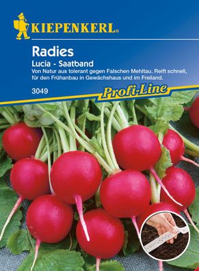 Kiepenkerl® Radies Lucia F1 - Saatband - Gemüsesamen