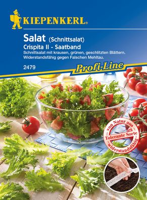 Kiepenkerl® Salat Crispita II - Saatband - Gemüsesamen