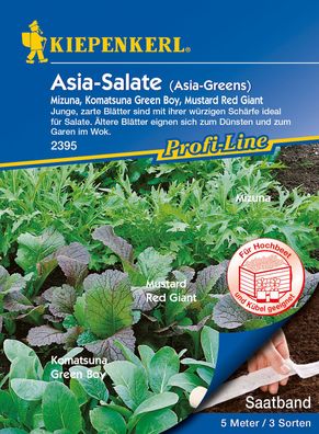 Kiepenkerl® Asia-Salate Asia Greens Kombination - Saatband - Gemüsesamen