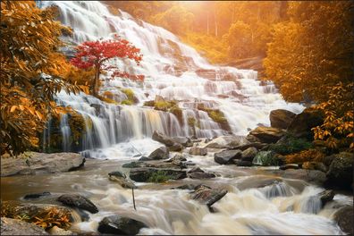 Muralo VINYL Fototapete XXL TAPETE Herbstlicher Wasserfall 683