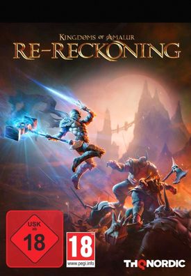 Kingdoms of Amalur Re-Reckoning (PC 2020 Nur der Steam Key Download Code) NO DVD