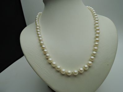 Perlenkette 50 cm aus Akoya-Zuchtperlen 7 mm einzelnd geknotet 144