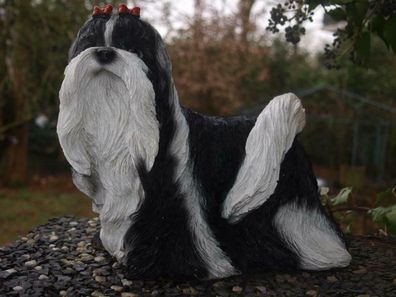 Shih Tzu Deko Figur H 27cm x 30cm lebensecht Hundefigur Gartenfigur Neuheit