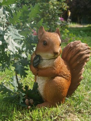 Eichhörnchen XXL Deko Figur naturgetreu 32cm wetterfest Gartenfigur HOTANT NEU