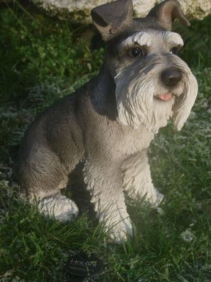 Schnauzer Deko Figur Gartenfigur Hund H 34cm lebensecht NEU Hotant (Gr. Groß)