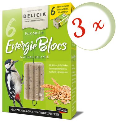 3 x FRUNOL Delicia® Delicia® Pick-Me-Up Energieblocs, 6 Stück