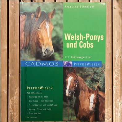 Welsh-Ponys und Cobs - Das vielseitige Familienpferd, Ein Rassewegweiser