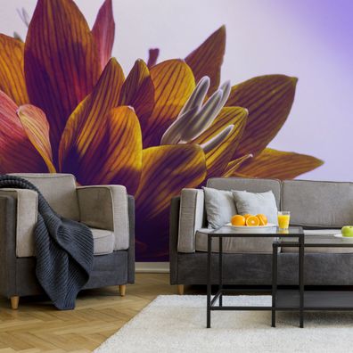 Muralo VLIES Fototapeten Tapeten XXL 3D Makro Lotus Blume Wohnzimmer 5188