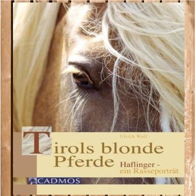Tirols blonde Pferde, Haflinger - ein Rasseporträt, wissenswertes über Haflinger