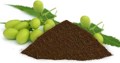 Niempresskuchen 1kg organischer NPK Dünger gemahlen Bodenzusatz für gesunde Pflanzen