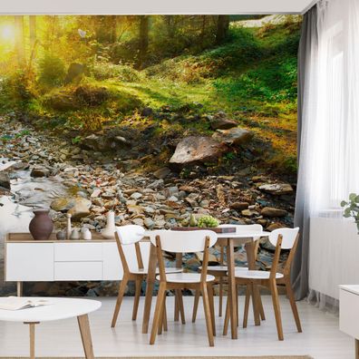 Muralo VLIES Fototapeten Tapeten XXL Wasserfall Sun Forest 3D-Dekor 4931