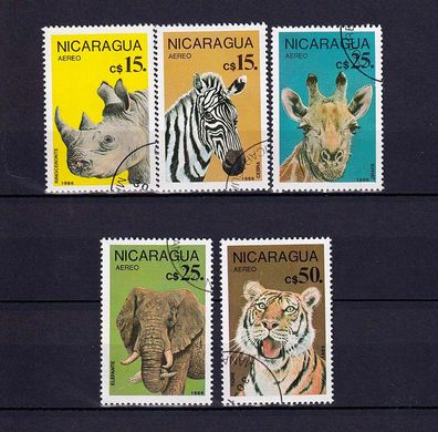 Tiere Afrikas - Giraffen, Nashorn, Tiger, Elefant , Zebra o