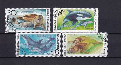 Motiv - Delfine, Seelöwen, Orkas, 4 Großformate aus Bulgarien o