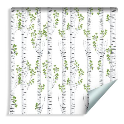 10m VLIES TAPETE Rolle Birken Baum Sommer Stamm Natur XXL 1298