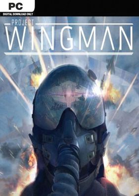 Project Wingman (PC, 2020, Nur der Steam Key Download Code) Keine DVD, No CD