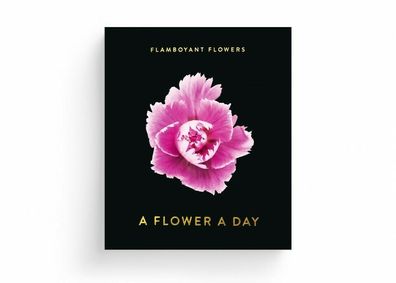 Seltmann, Flamboyant Flowers - A Flower A Day, Abreißkalender, ohne Jahreszahl