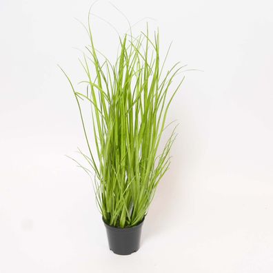 Dekogras im Topf Kunstpflanze Dekopflanze grün H 40 cm
