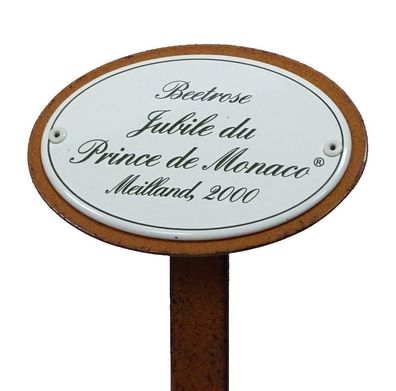 Rosenschild Rosenstecker, Beetrose: Jubilé du Prince de Monaco, Meilland 2000