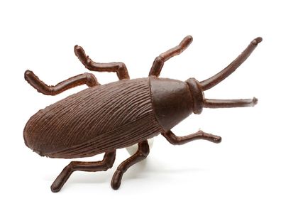Kakerlake Ring Miniblings Fingerring Halloween Schabe Zikade Insekt Küchenschabe
