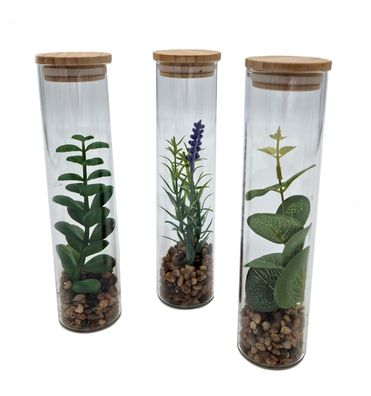 Kunstpflanze in Glasvase - 3er Set / 20 cm - Sukkulente Pflanze künstlich Tisch Deko