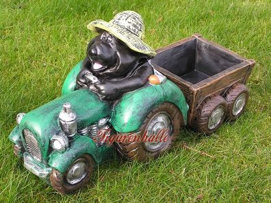 Maulwurf auf Trecker Traktor Figur Gartenzwerg Statue Skulptur Anhänger Deko Garten