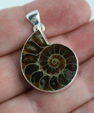 Ammonit Anhänger aus Madagaskar 925 Sterling Silber fossil versteinert