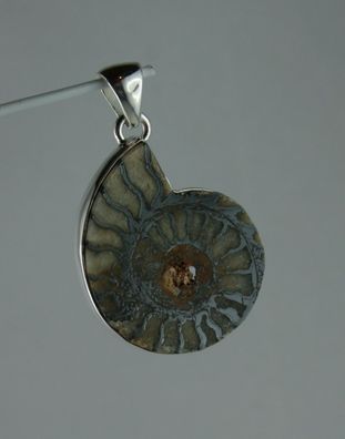 Ammonit Anhänger aus Marokko mit Hämatit selten 925 Sterling Silber fossil