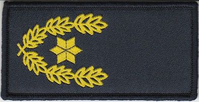 Polizei Dienstgradabzeichen Klett Eichenlaub und 1 Stern