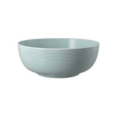 2 x Foodbowl 20 cm - Seltmann Weiden Beat Arktisblau uni - Schüssel Schale