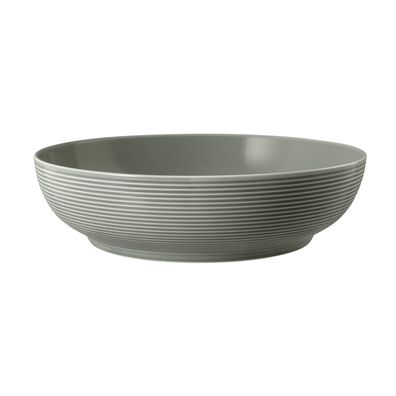 4 x Foodbowl 25 cm - Seltmann Weiden Beat Perlgrau uni - Schüssel Schale